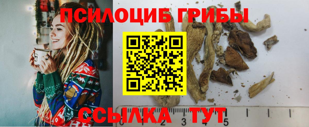 Псилоцибиновые грибы Psilocybine cubensis  Галлюциногенные грибы Psilocybe  Курчатов  Вход с VPN 